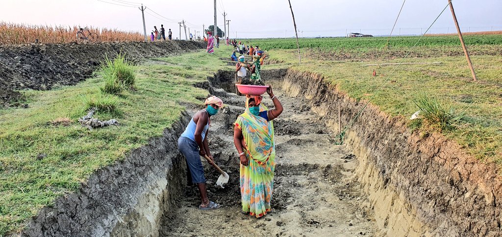 写真:コロナ禍での全国農村雇用保障法の下で働く労働者たち（ビハール州カガリア県）